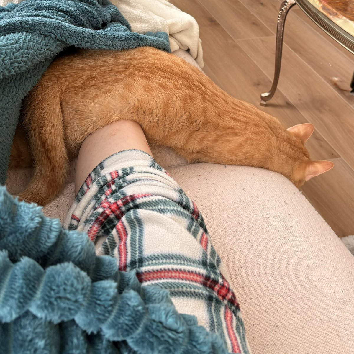 ryn (& apple) ‧₊ 🍒 ᵎᵎ tweet media