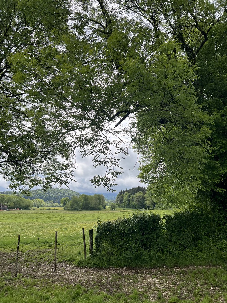 PYFux's tweet photo. 2e étape à pied vers Vézelay : de Bonlieu à Lons-le-Saunier, chef-lieu départemental du Jura… en plaine. En passant par les « marmites » et cascades de l’Ain. https://t.co/wfmyWZGj4j