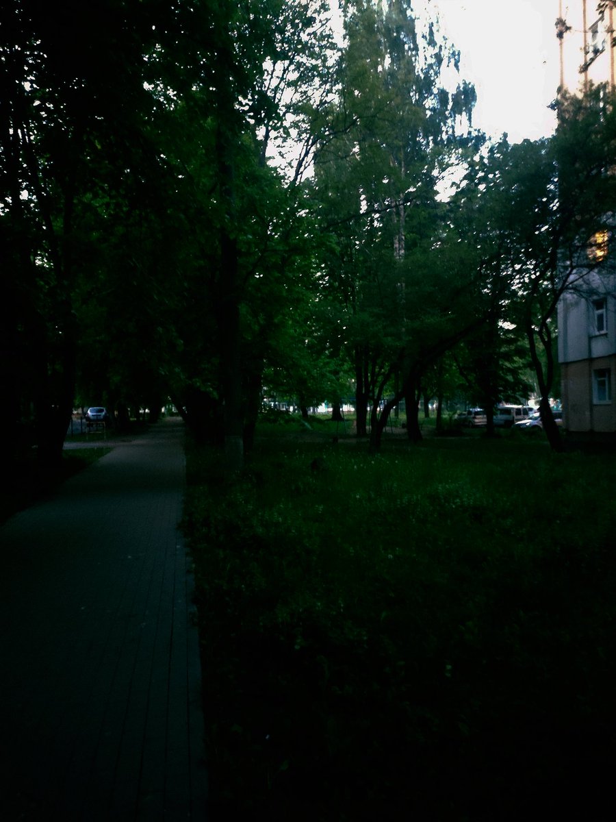 yonabeef🇺🇦ꑭ🇺🇦 tweet media