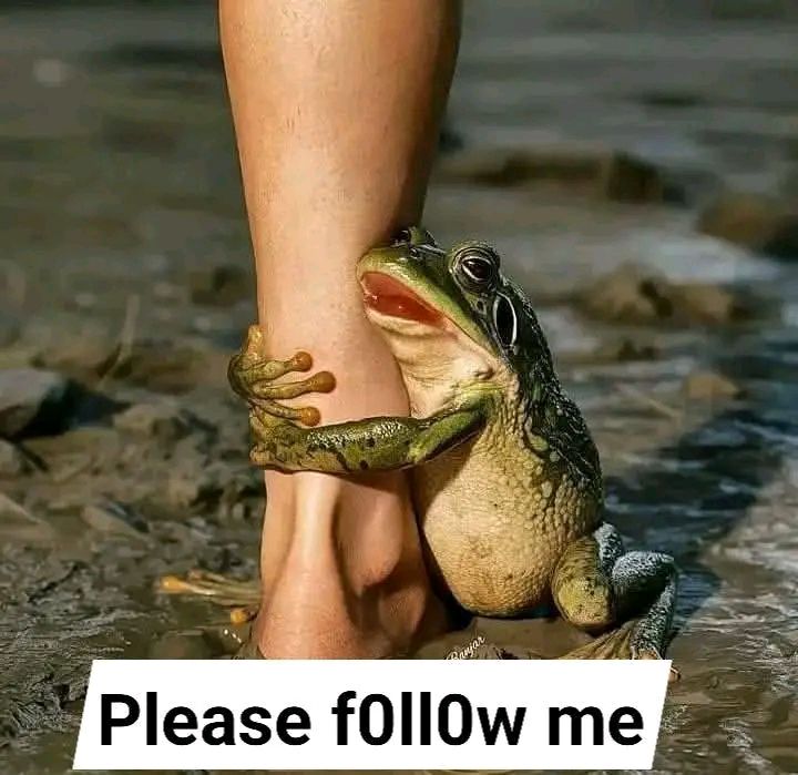 Pradasturaro's tweet photo. bro to bro Asap https://t.co/otdtHkVjxD