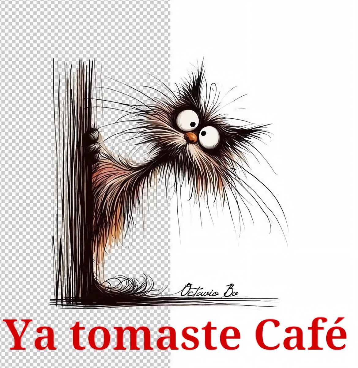 Jjavier_0101 tweet media
