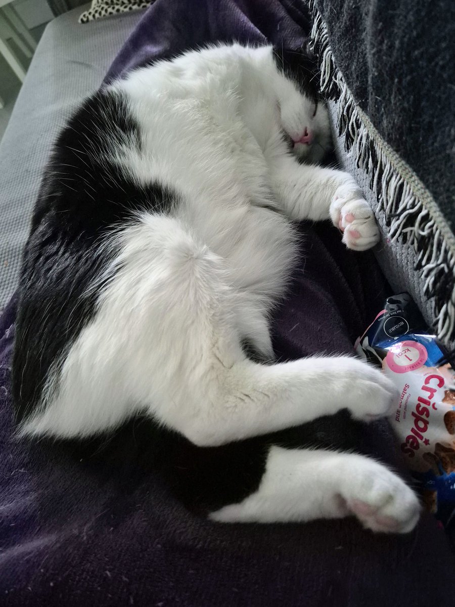 DougieThreeLegs's tweet photo. https://t.co/gIMNBCI04q

Thear ams justs FIVFE DAYES lefft to votely fore an Duggly!!! Thamkly so mush pals ☺️ https://t.co/4PziNQIQAp
