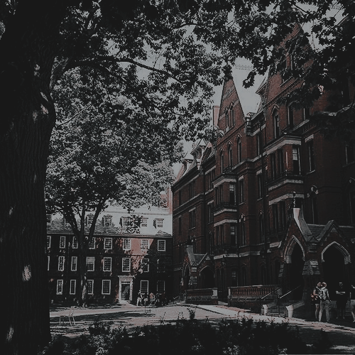 gothamcampus's tweet photo. ᅠ      ᅟᅠ             ᅠ        ᅠᅠ     ᅟᅠ
ᅠ      ᅟᅠ            𝐆𝐎𝐓𝐇𝐀𝐌 𝐔𝐍𝐈𝐕𝐄𝐑𝐒𝐈𝐓𝐘
ᅠ      ᅟᅠ    𝐀𝐛𝐢𝐞𝐫𝐭𝐨 - 𝐁𝐚𝐬𝐚𝐝𝐨 𝐞𝐧 𝐃𝐂/𝐌𝐚𝐫𝐯𝐞𝐥
ᅠ        ᅠᅠ"𝖳𝗋𝖺𝖽𝗂𝖼𝗂𝗈́𝗇, 𝖾𝗑𝖼𝖾𝗅𝖾𝗇𝖼𝗂𝖺 𝗒 𝗅𝖾𝗀𝖺𝖽𝗈."
ᅠᅠ     ᅟᅠ https://t.co/iyTqgBvG7L