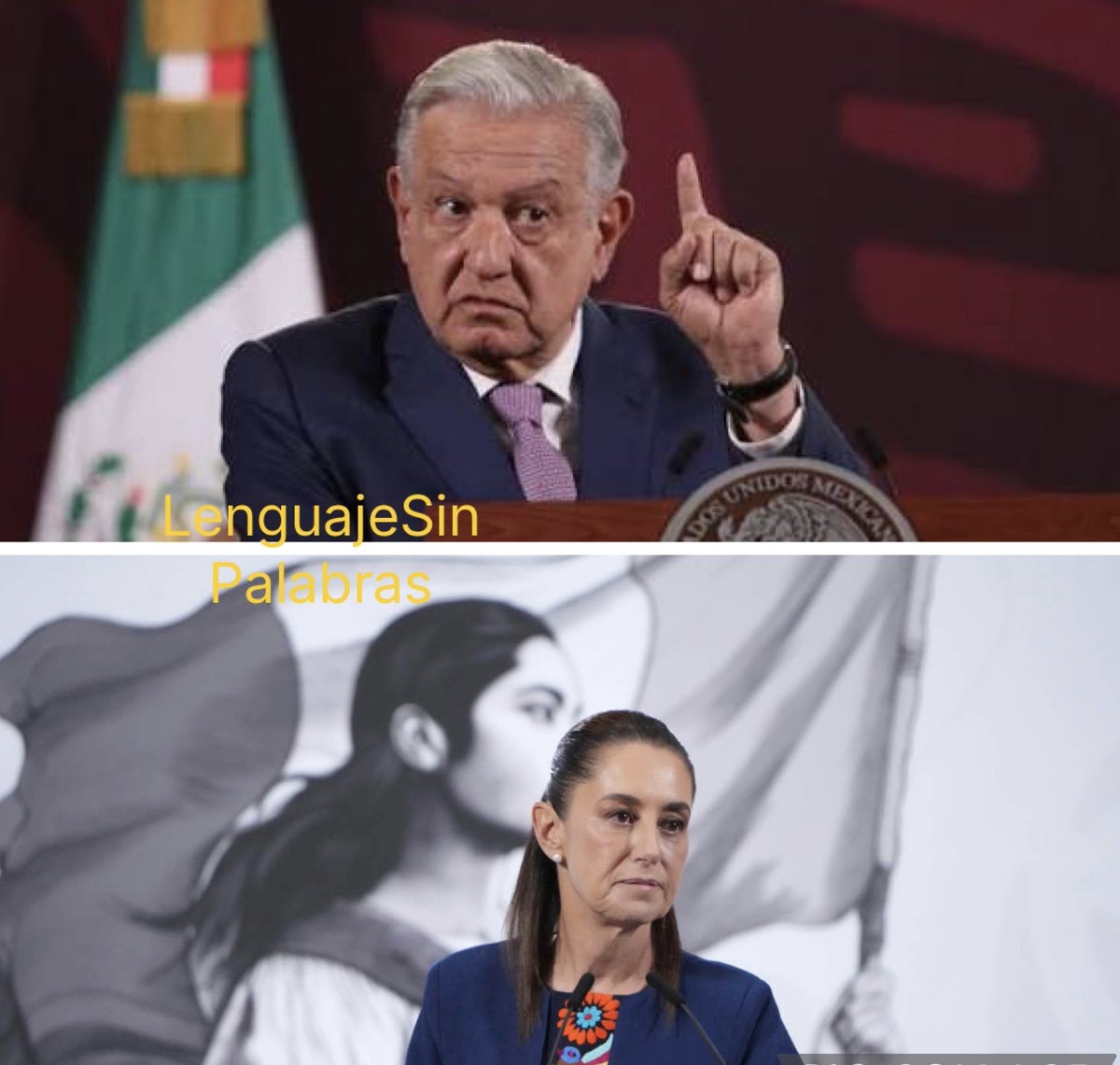 Bárbara Tijerina tweet media
