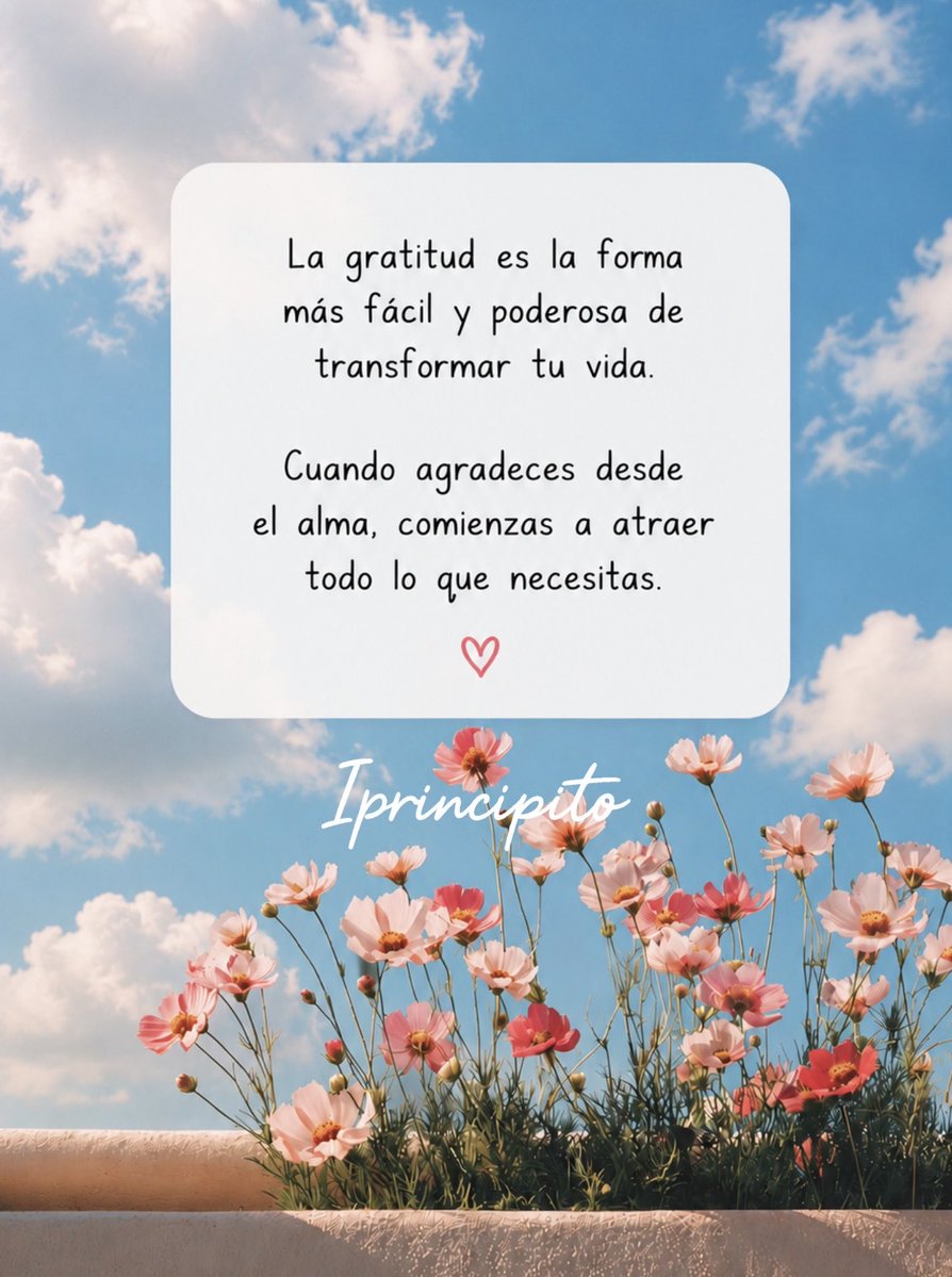 El Principito ✨ tweet media