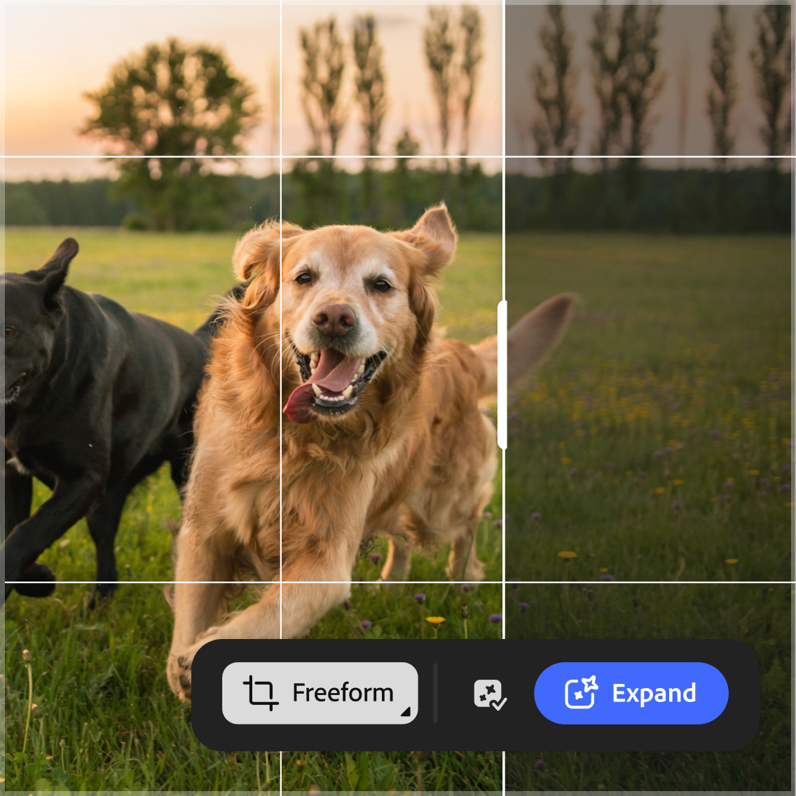 Adobe Firefly tweet media