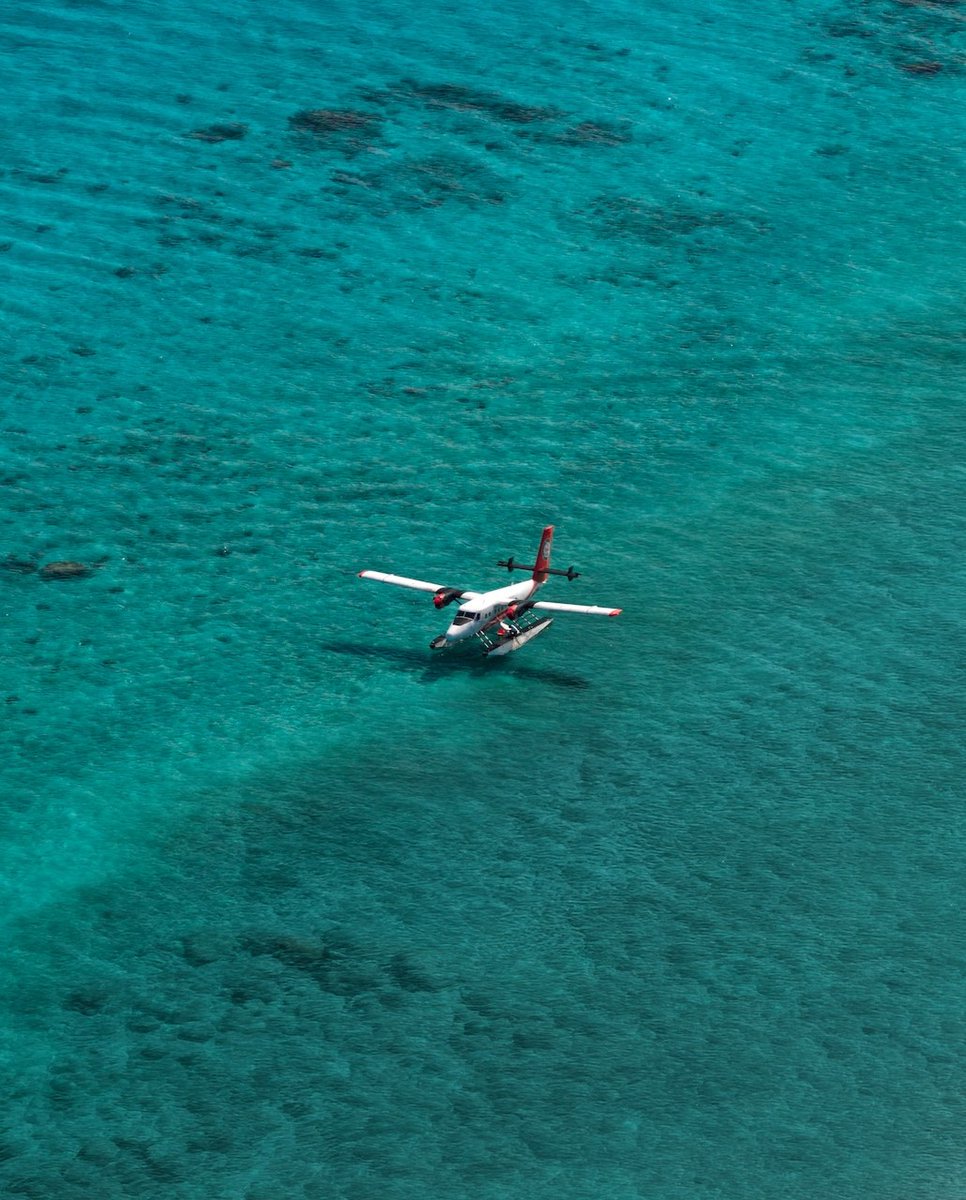 Kuredu Island Resort & Spa tweet media