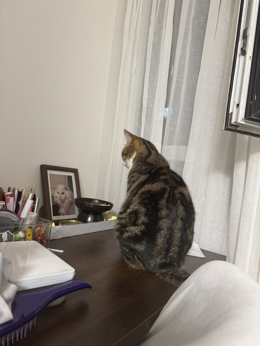 除你武器 tweet media