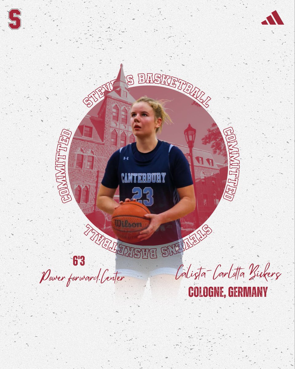 StevensWBBALL tweet media