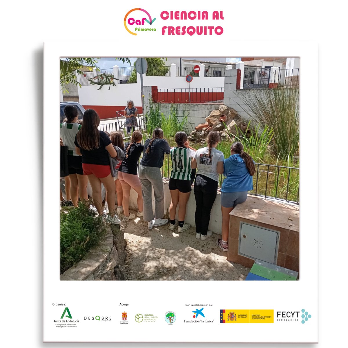 FDescubre's tweet photo. @UniversidadAnd @FECYT_Ciencia @FundlaCaixa @caixabank @BOTANICORD 🥤♻️Con método científico, descubren la flora y fauna que habita en los estanques naturalizados, y los servicios ecosistémicos 

👉https://t.co/a69dplSjsC 

#CienciaalFresquito2026 #CaF2026 @UniversidadAnd @FECYT_Ciencia @FundlaCaixa a través de @caixabank @BOTANICORD https://t.co/6uq1efu4WH
