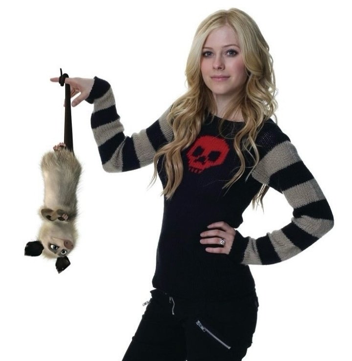 Avril Lavigne Updates tweet media