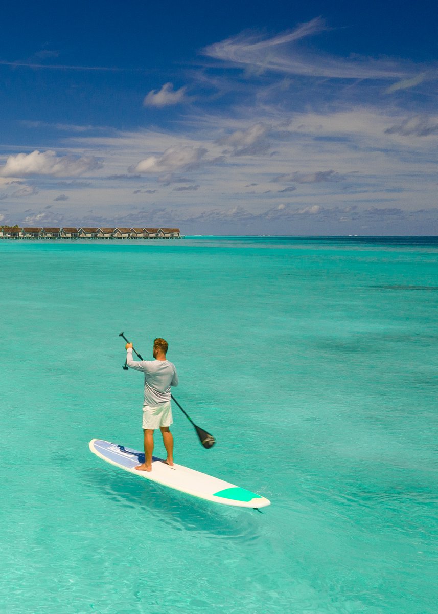 Niva Kuramathi Maldives tweet media