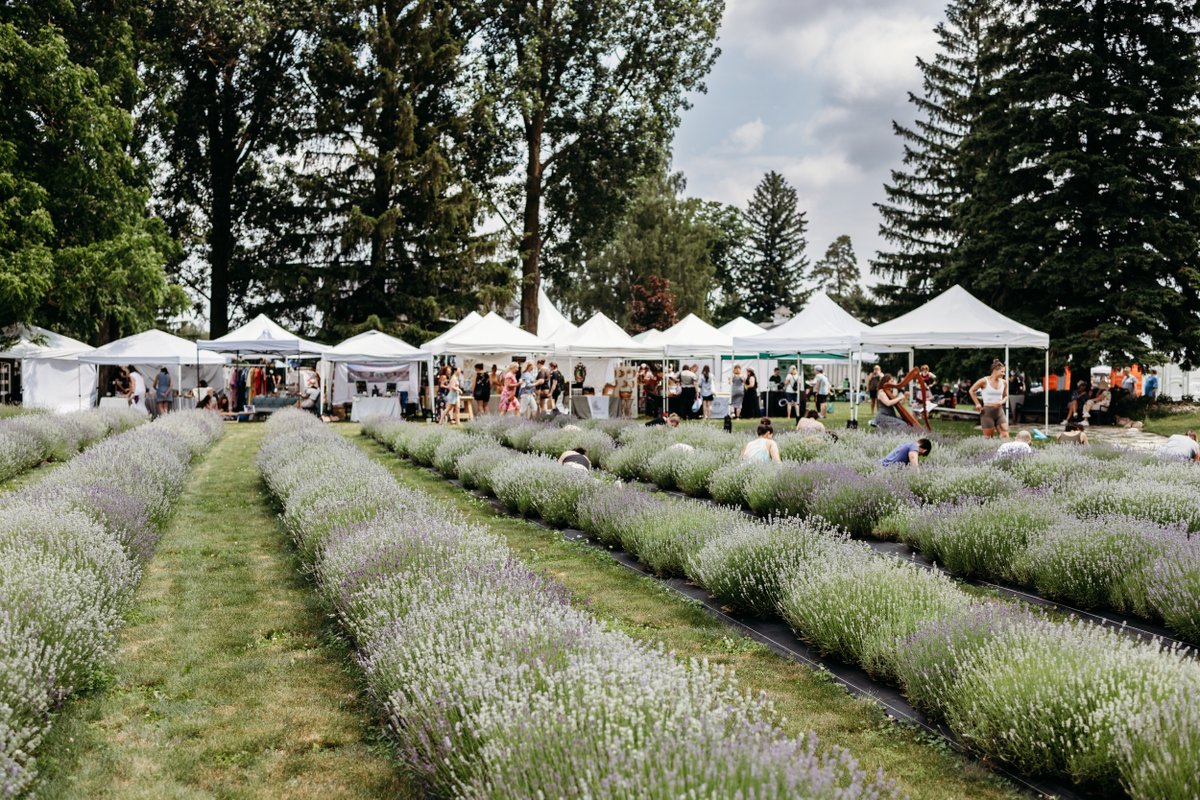 wellingtncounty's tweet photo. There is still time to apply! Wellington County’s Experience Development Programme is open with grants up to $3,000 for tourism businesses, events and non-profits.
📅 Apply by May 26
🔗Learn more at https://t.co/cqxq2hoXwX

📸Lavender Bloom Festival, Arthur https://t.co/HzcAPx4aHE