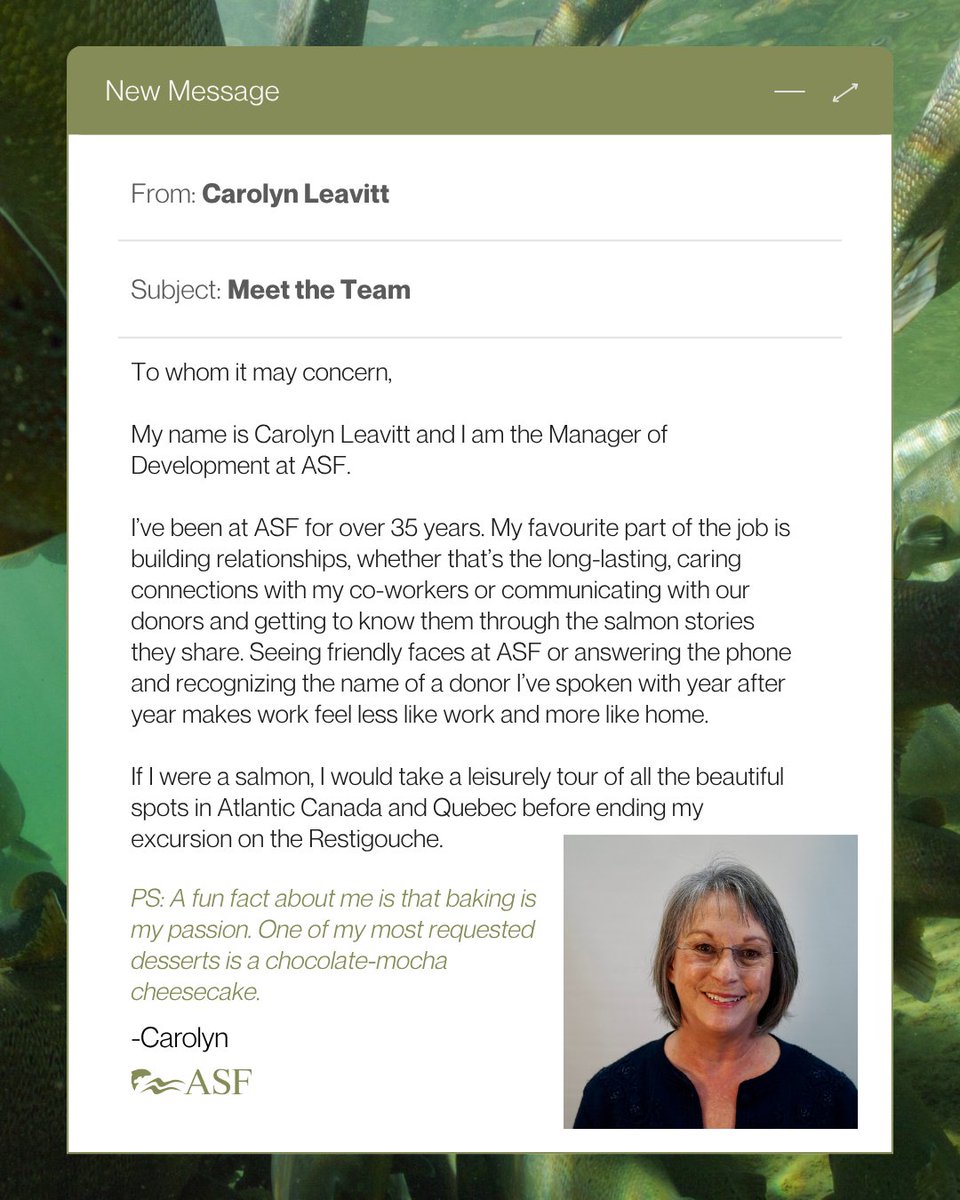 ASFSalmon's tweet photo. 👋 Meet the Team!

Meet Carolyn Leavitt, ASF’s Manager of Development!

Check out her card to learn more! https://t.co/cjBB53bIcH