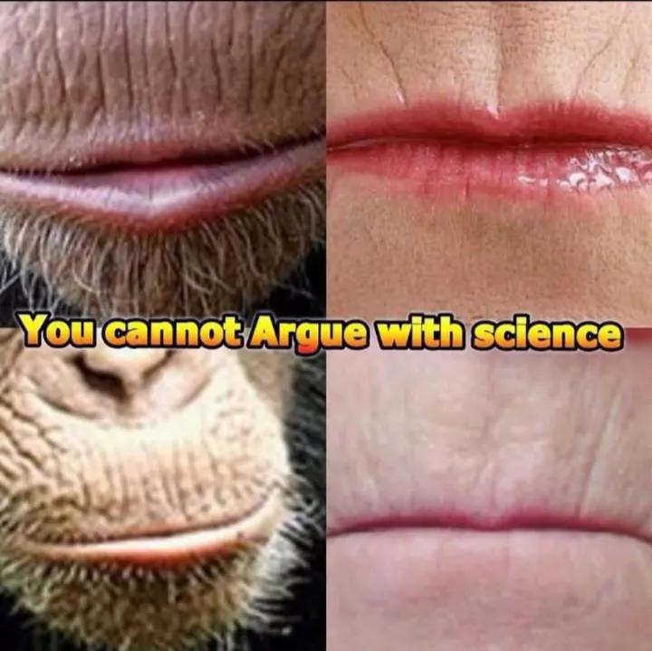 HotCaramelCream's tweet photo. @digitalGhostXX @HappyPunch You need to look at yourself and your ancestors sweetie https://t.co/x8DryZ9esS