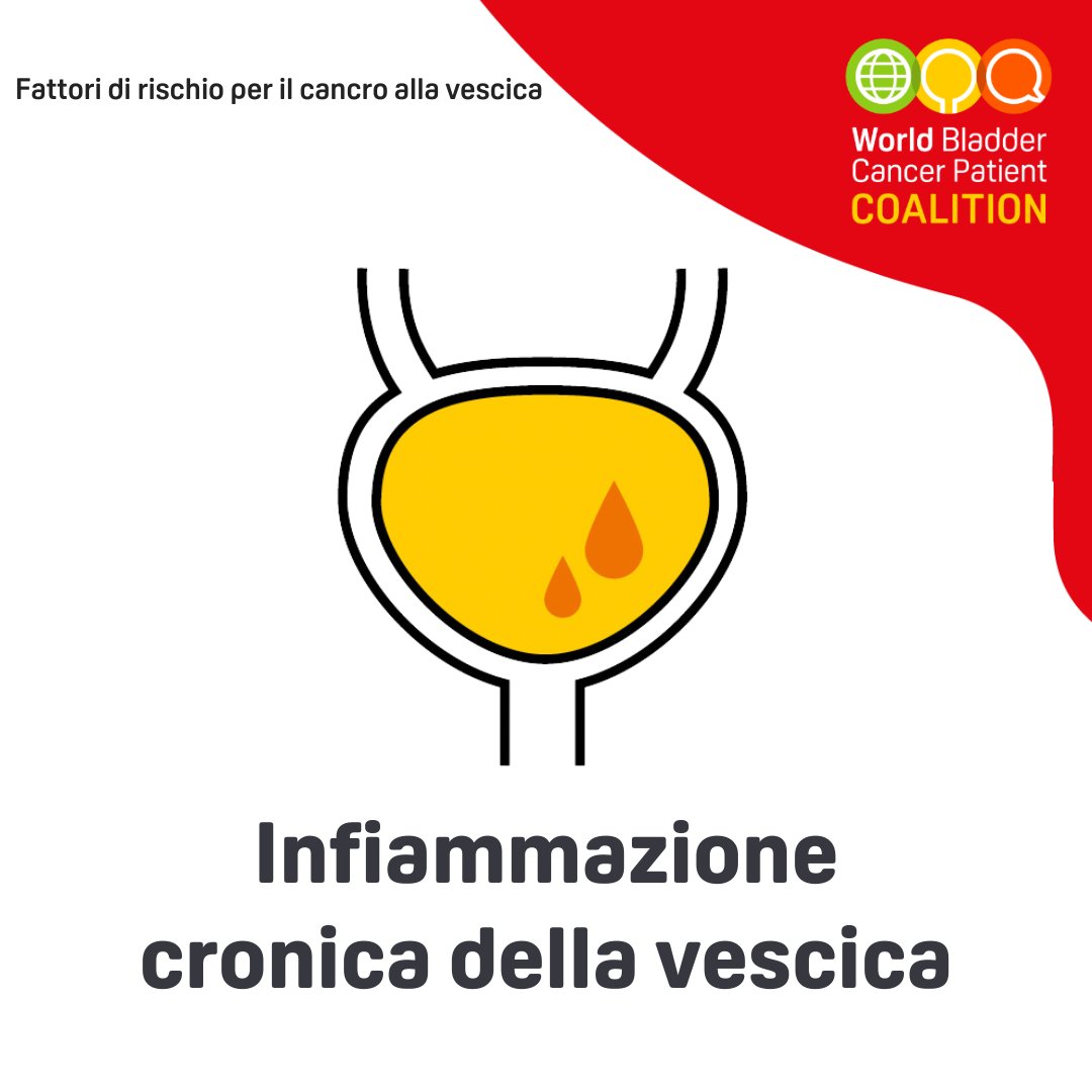 associazionepalinuro tweet media
