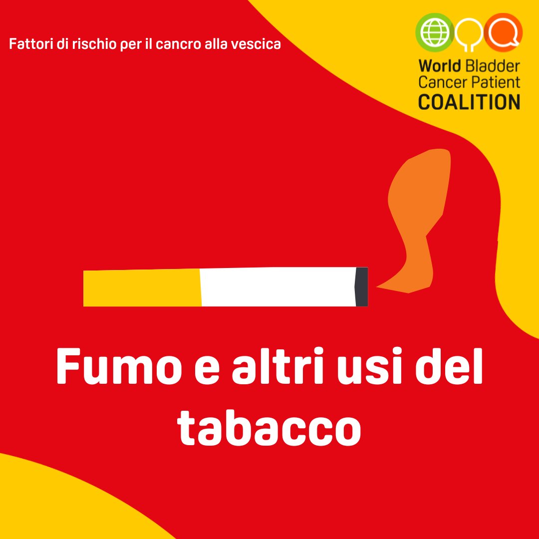 associazionepalinuro tweet media
