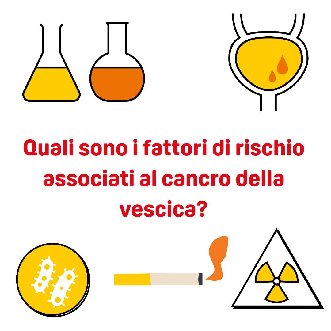 associazionepalinuro tweet media