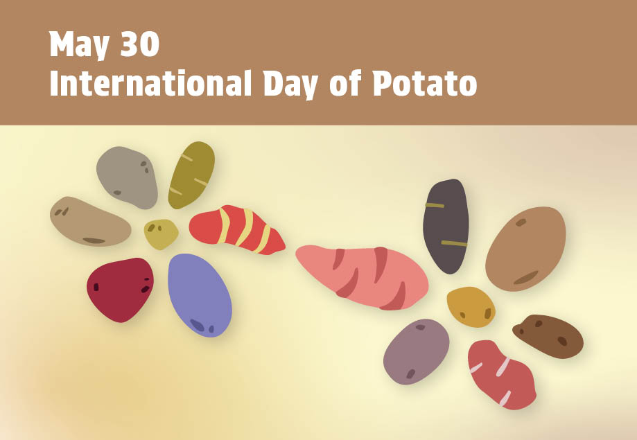 SenatorRobBlack's tweet photo. Did you know that the potato is a crop of enormous significance? Potatoes contribute to food security and nutrition, while also protecting the livelihoods and employment of people in rural and urban areas around the world. On this #InternationalDayofPotato, let’s celebrate this key crop that sustains communities worldwide! @FAO @SenateCA