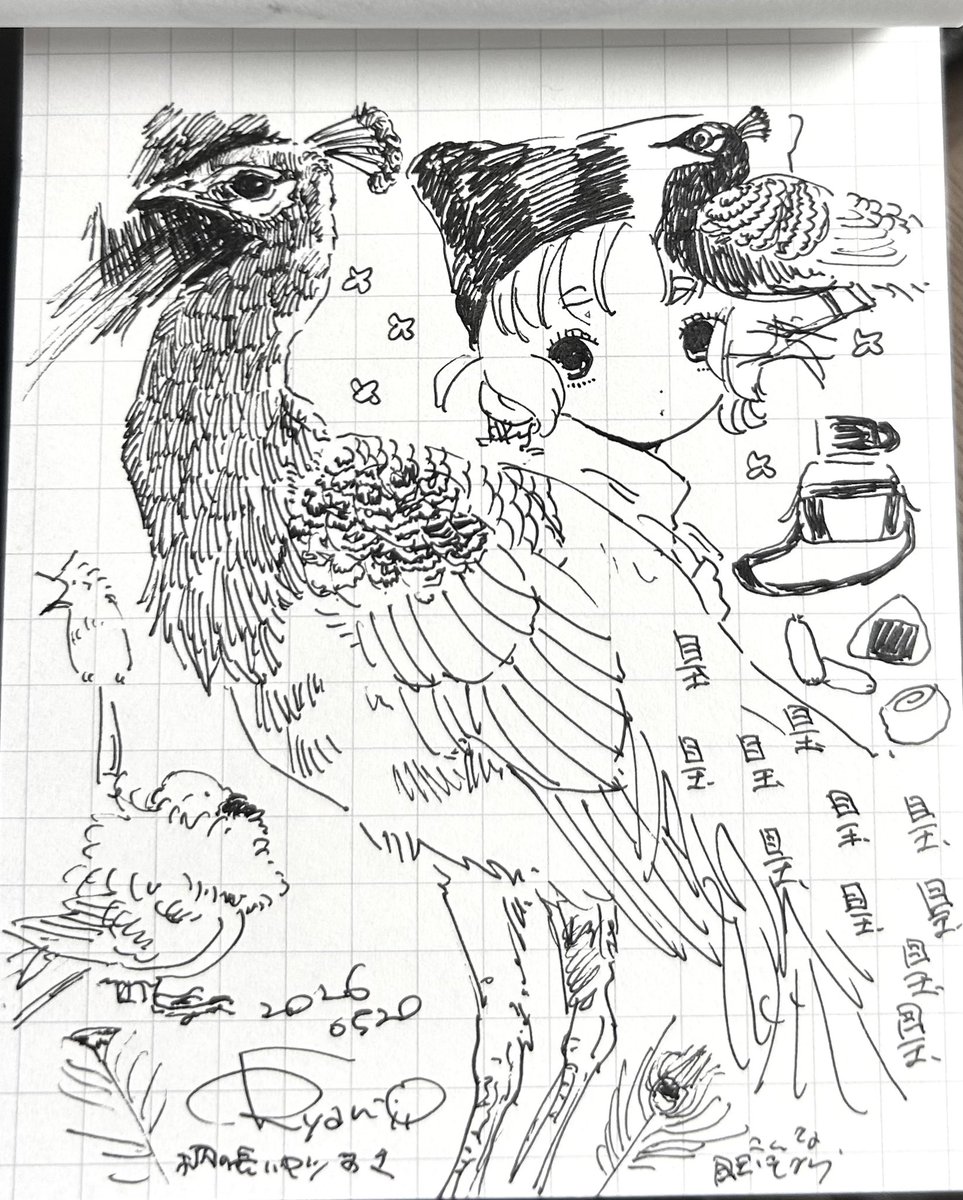 🦚 