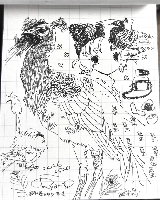 🦚 