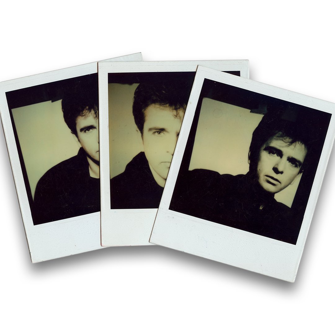 Peter Gabriel tweet media