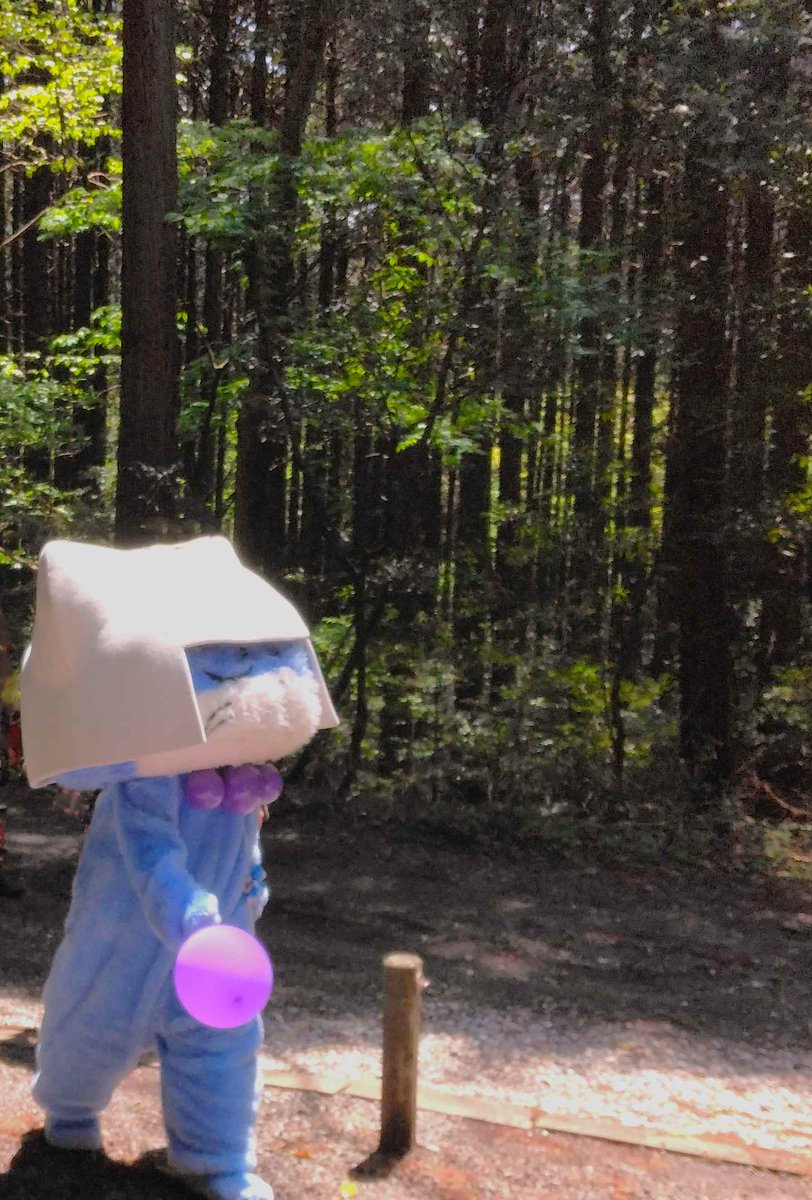 5月20日は「森林の日🌲🌳」 いつまでも緑豊かであってほしいニャ