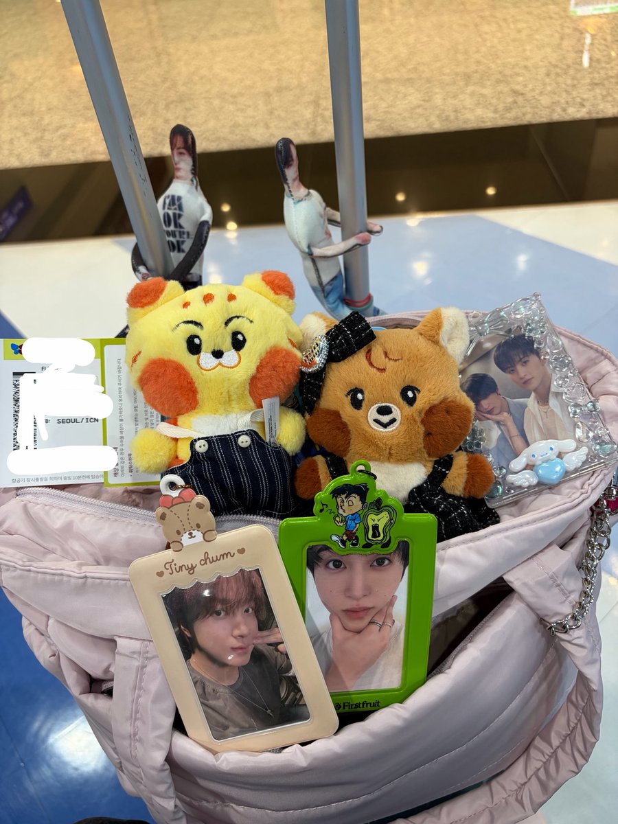 lyn ♡ 🐯ྀི 🐻ྀི tweet media