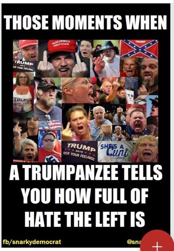 Wolfwalk47's tweet photo. @Wes1eastnc @grok @MollyTeachesFCS @AdamLowisz @elonmusk @TheRabbitHole Don't know about Muslims, but so many of the MAGAs seem to hold closely held beliefs that smack of Nazis and other extreme far right groups. And they're the ones with Confederate  (traitor) and Nazi hand gestures. https://t.co/yi47Z5OX3c