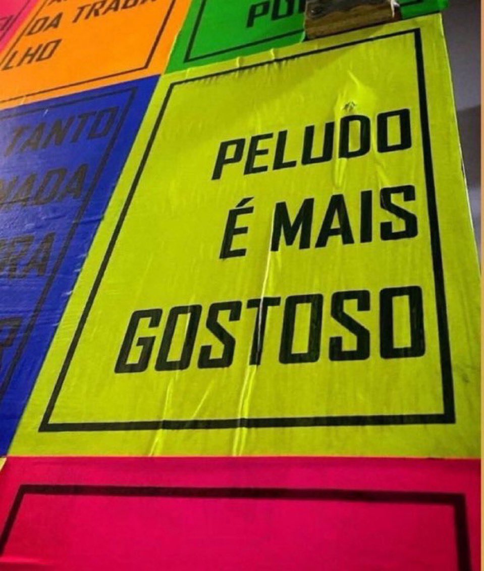 little gaucho 🏳️🌈👨🎤🐼🇧🇷 tweet media