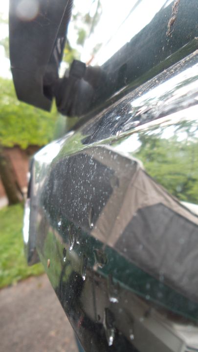 ElizabethSP96's tweet photo. Art of the Day! "Reflection". Buy at: https://t.co/3n1u1yWu4m https://t.co/Ohv2aYsVE3