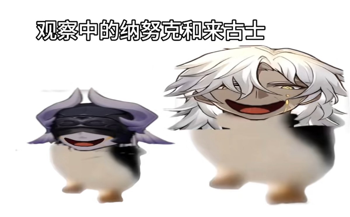 surqer's tweet photo. かわいい https://t.co/HaGVbTfbqT