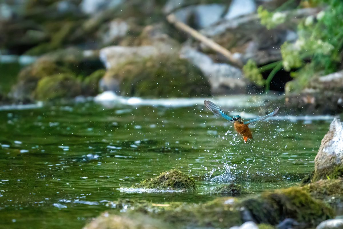 Paul_Reeves's tweet photo. In line with Severn Trent’s commitment to protect the water environment, they have launched an online pollution reporting system. This will allow, rapid investigation of all potential pollution due sewage related issues. https://t.co/DfZ41lkrjU

Please RT to help spread the word. https://t.co/qXw2EAKE5f