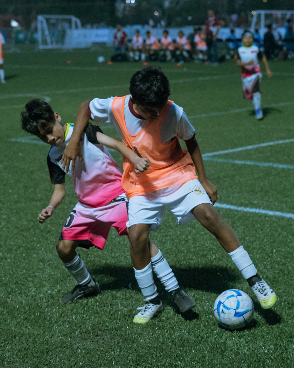 Federación Mexicana de Futbol tweet media