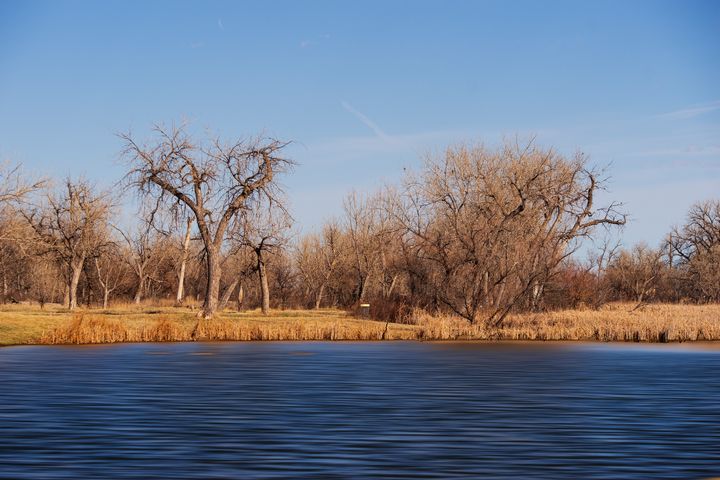 DavidRussell228's tweet photo. Art of the Day! "Moving Lake". Buy at: https://t.co/7hefegB18s https://t.co/FbYNfyREdP
