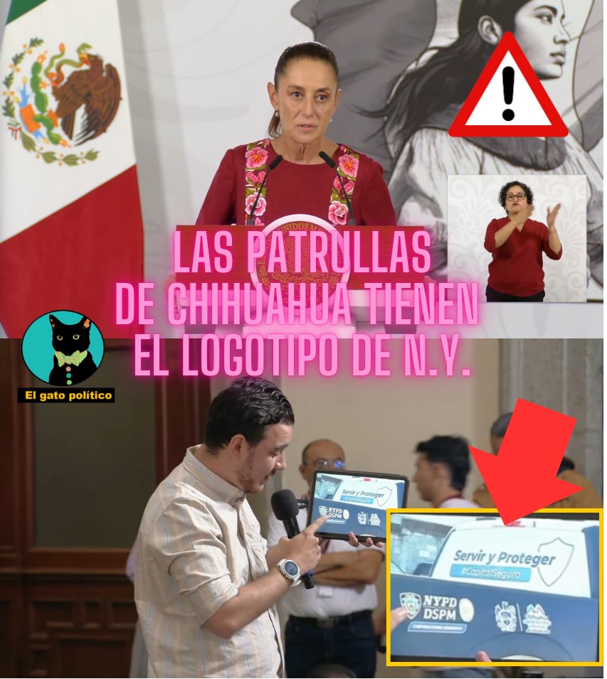 El gato político tweet media