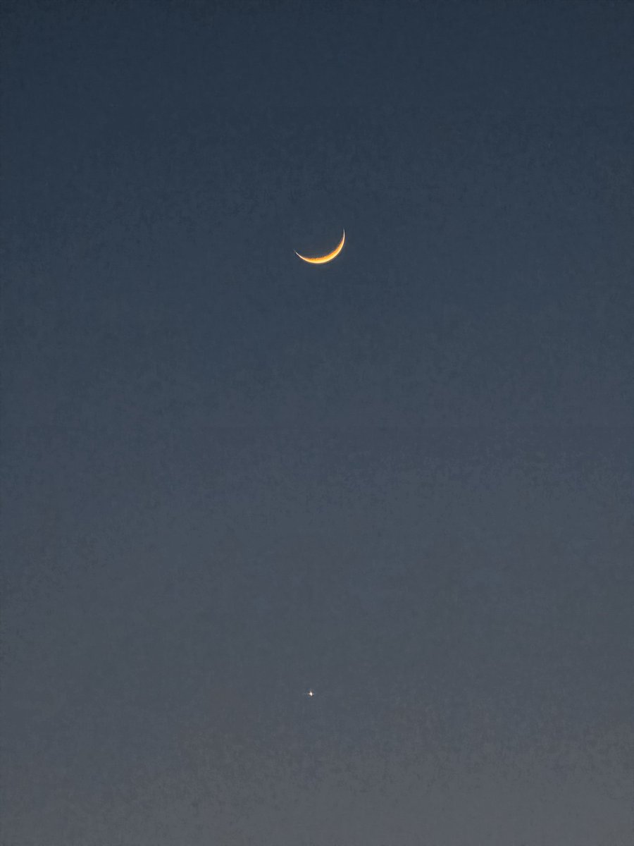 Linear0_'s tweet photo. 2026/5/20
月が金星に接近 https://t.co/AModhihwVX