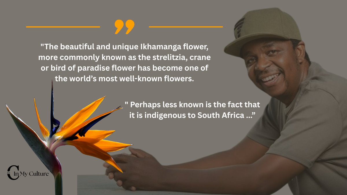 InMyCulture_'s tweet photo. Do you know what ‘Ikhamanga’ means? 

Here’s why this honour is uniquely fitting for South African music legend @OskidoIBelieve received the prestigious Order of Ikhamanga.

Link: https://t.co/9xzckKfyBY

#Oskido #NationalOrders2026 #Ikhamanga #Kwaito #InMyCulture https://t.co/ayDziYxKqM