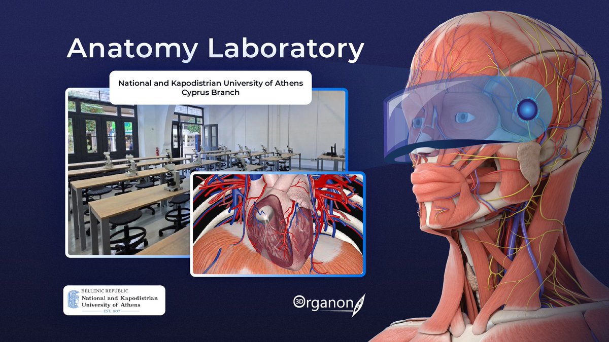 3D Organon tweet media