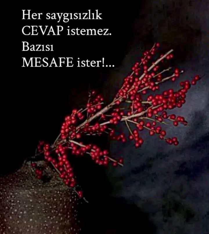 YakHatice's tweet photo. https://t.co/CGluC9HHH6