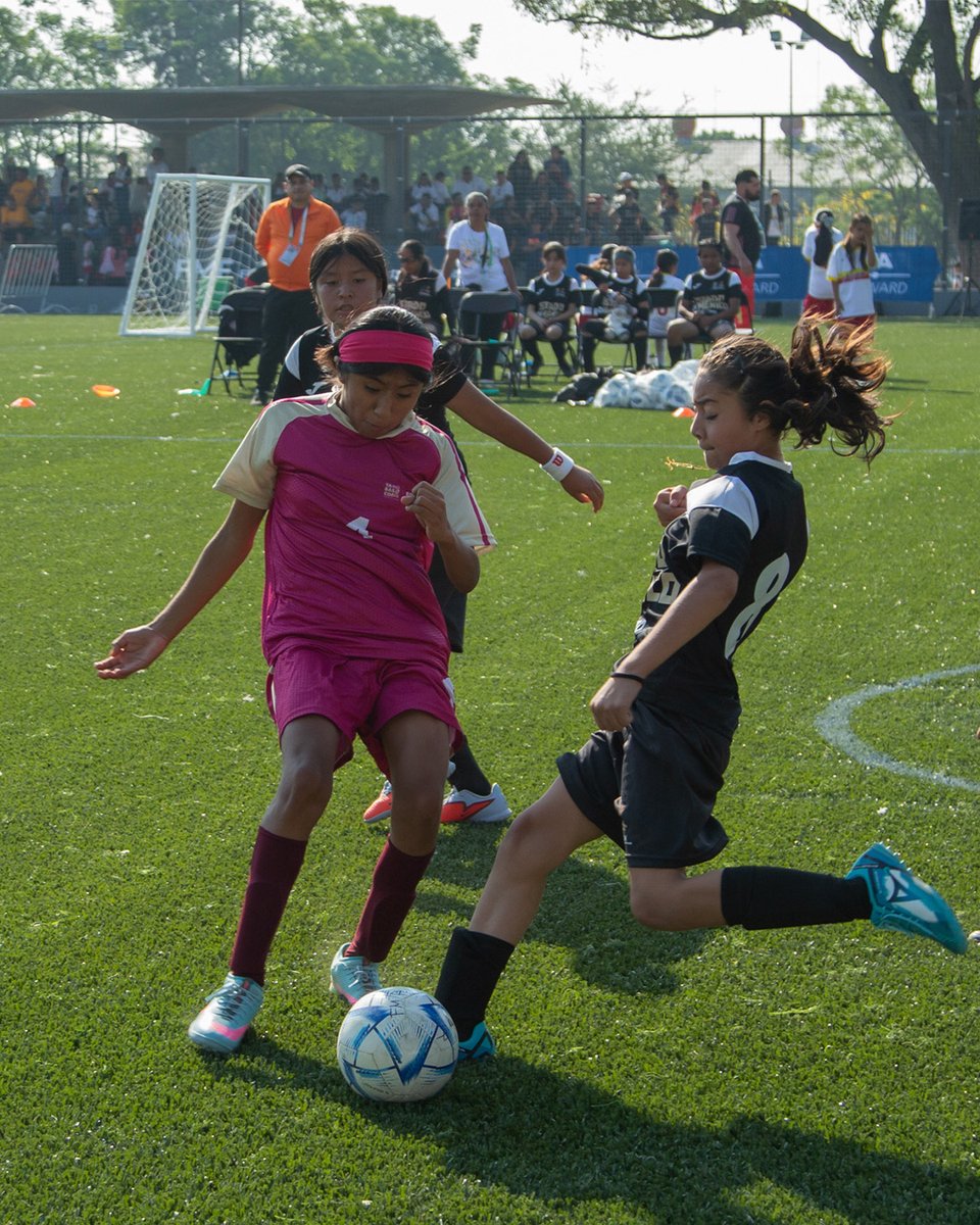 Federación Mexicana de Futbol tweet media