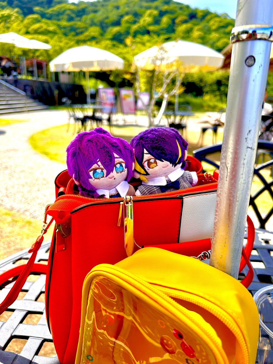 ヤイコ tweet media