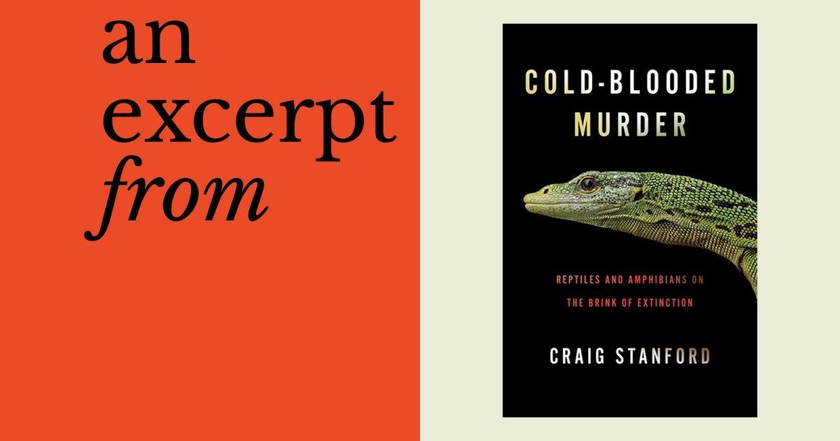 Columbia University Press tweet media