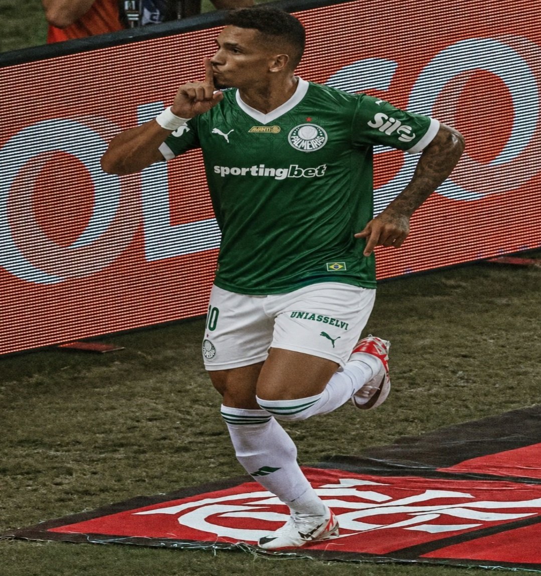 Palmeiras memes🐷💚 tweet media