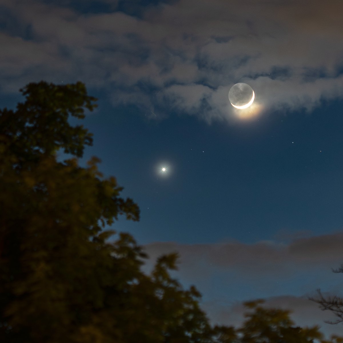 NASA Solar System tweet media
