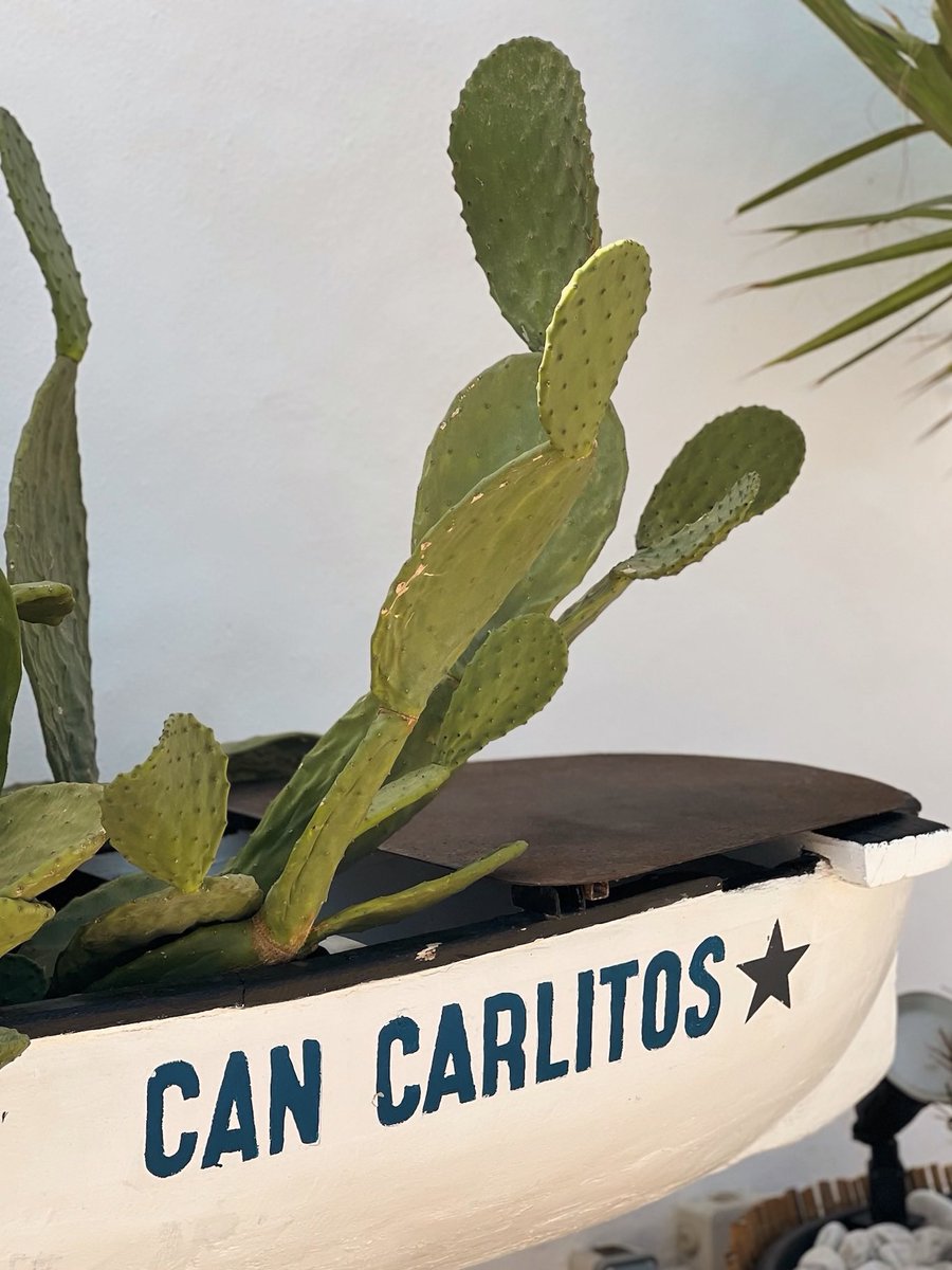 CanCarlitos_'s tweet photo. Make your summer plans at @cancarlitos_formentera 🤩💙

#Summer #Plans #Formentera #CanCarlitos #Enjoy https://t.co/SMohydXI5O