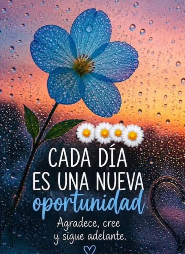 Jjavier_0101 tweet media
