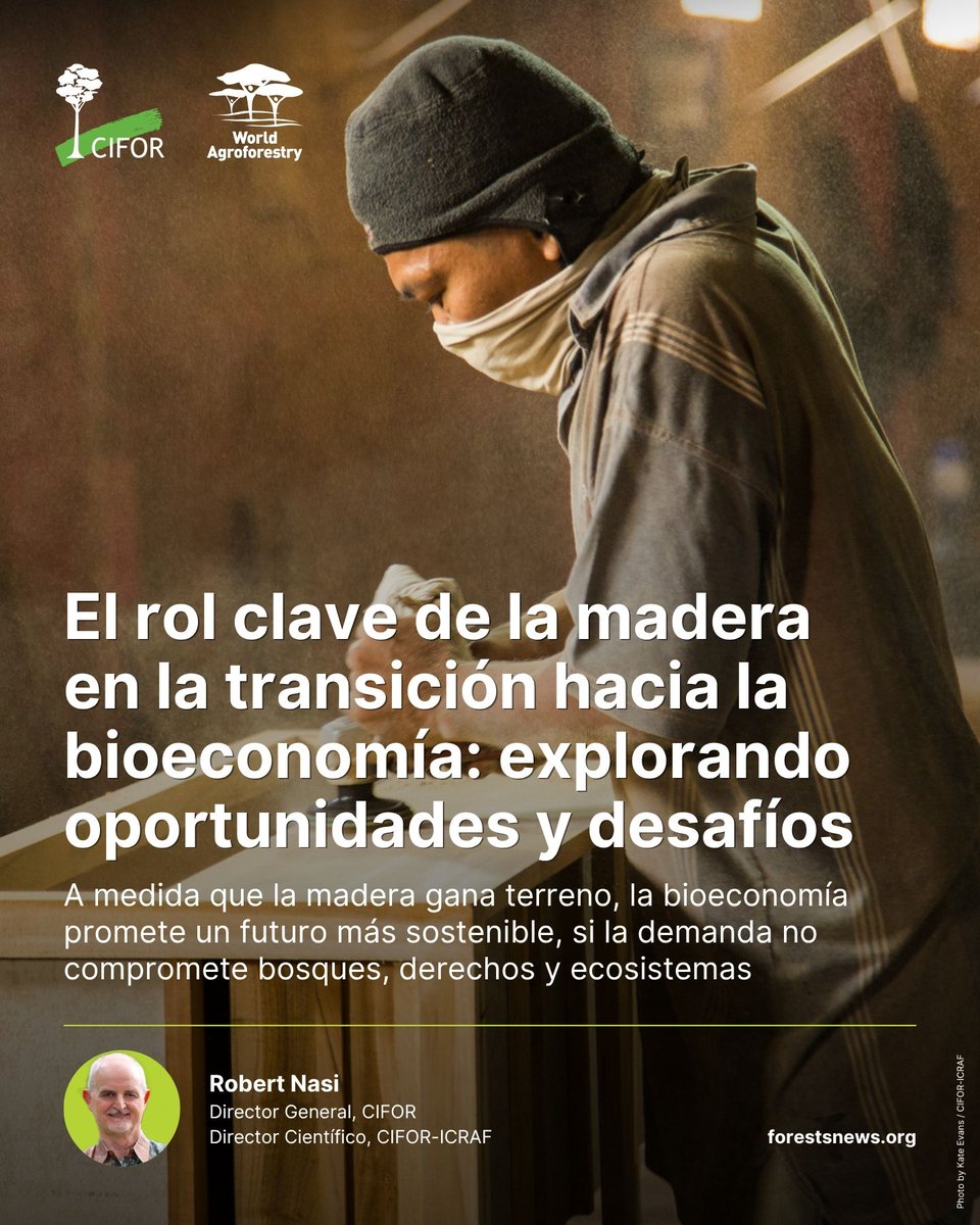 LandAllianceLAC's tweet photo. La madera gana protagonismo en la bioeconomía global 🌳🌎
Su uso crece en construcción, textiles y energía. Pero surge una pregunta clave: ¿cómo aumentar la oferta sin comprometer bosques y derechos?
🔍 Un análisis explora riesgos y oportunidades 👉 https://t.co/IEuMxxzb6l https://t.co/zuLqcEEY7v