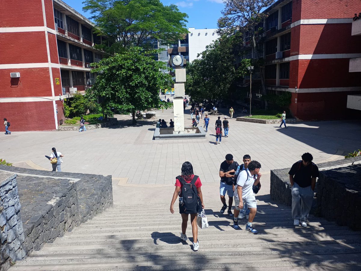 UNAH_Rectoria's tweet photo. Así lucen los espacios de la mejor universidad del país, la @UNAHoficial. ¡Se respira un ambiente académico de paz y tranquilidad! Son mas de 80 mil estudiantes, es decir, 30 mil más que cuando nos tocó asumir en 2024. Más de 30 carreras nuevas, mejoramiento de espacios y habilitación de espacios comunes. #LaNuevaHistoriaSigue