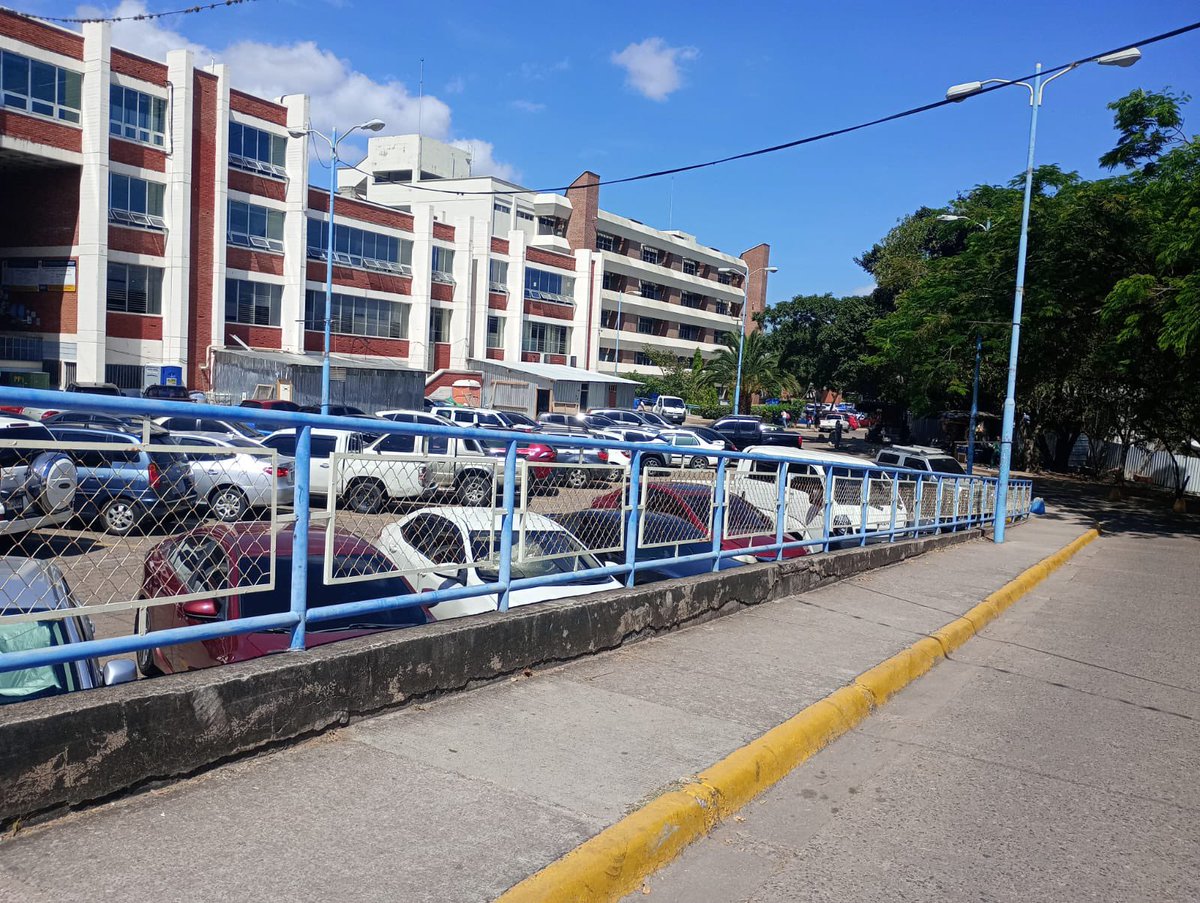 UNAH_Rectoria's tweet photo. Así lucen los espacios de la mejor universidad del país, la @UNAHoficial. ¡Se respira un ambiente académico de paz y tranquilidad! Son mas de 80 mil estudiantes, es decir, 30 mil más que cuando nos tocó asumir en 2024. Más de 30 carreras nuevas, mejoramiento de espacios y habilitación de espacios comunes. #LaNuevaHistoriaSigue